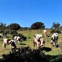 Marche nature du lundi entre mediouna et Rharha