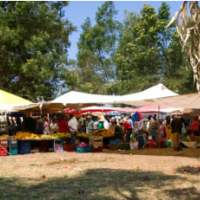 Visite du marché d'Had El Gharbia et du cromlech de M'zora