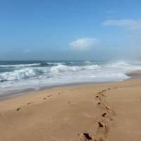 Randonnée du dimanche sur la plage de Sidi Mghraït