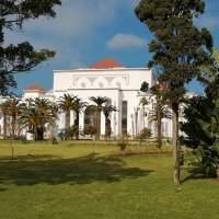 Visite du Palais des Arts et de la Villa Harris