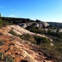 Marche nature du lundi à Mediouna