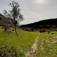 Marche nature du lundi à Mediouna