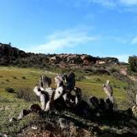 Marche nature du jeudi dans Mediouna