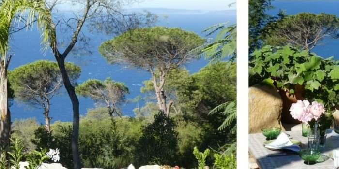 &#127793;Exceptionnel ! Visite en avant-première des jardins Donabo &#127795;