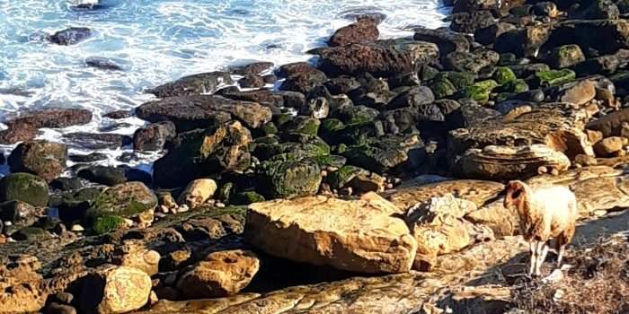Marche nature Perdicaris Rmilate