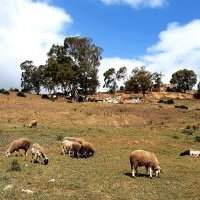 Marche nature du lundi - facile