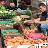 Visite du marché de Beni Makada